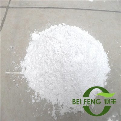 澳门原料1688茄子