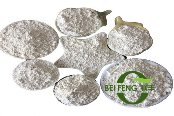 澳门原料1688茄子