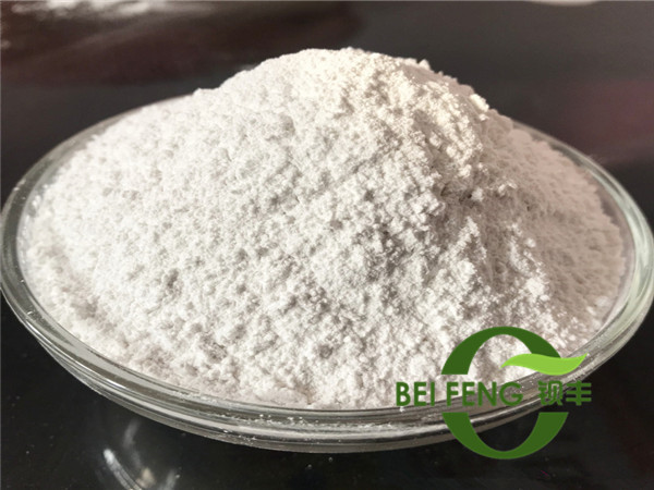 澳门原料1688茄子
